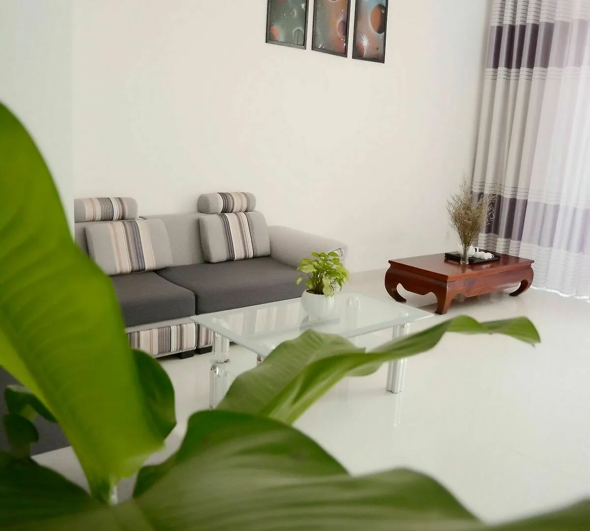 Cozy House Apartment Son Tra Vietnam